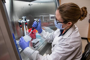 Researcher