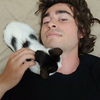 Classics cat